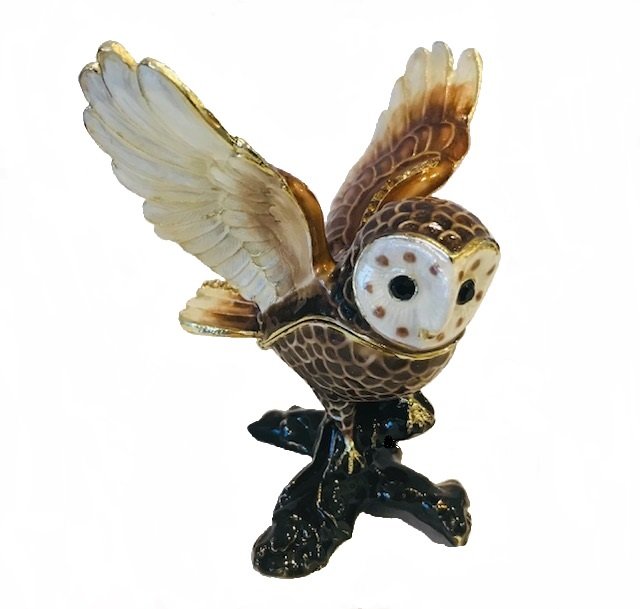 Flying Owl-CGMD